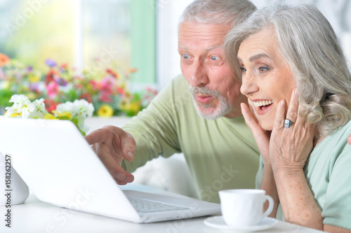 Beautiful old couple with laptop 