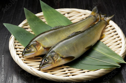 Konstfotografi 鮎　Japanese sweetfish