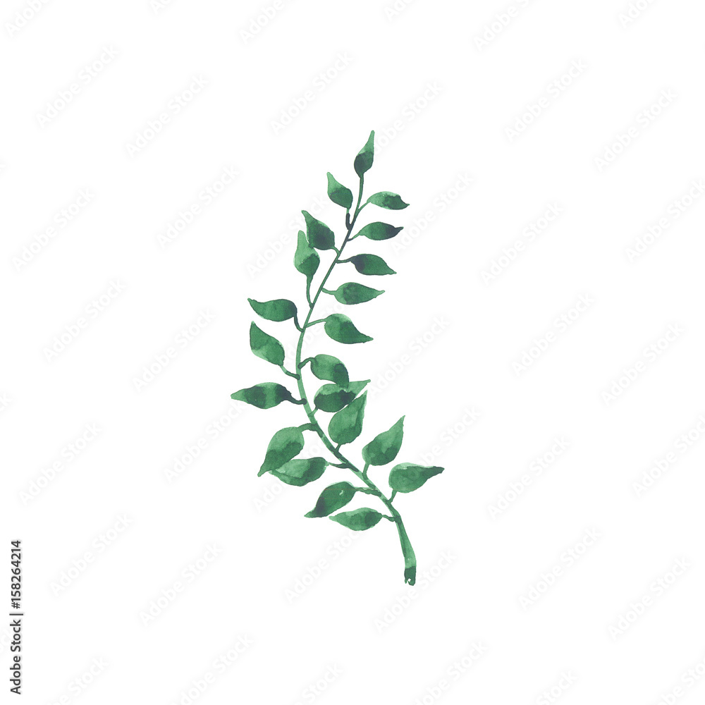 Bright watercolor leaf isolated Bright watercolor leaf isolated