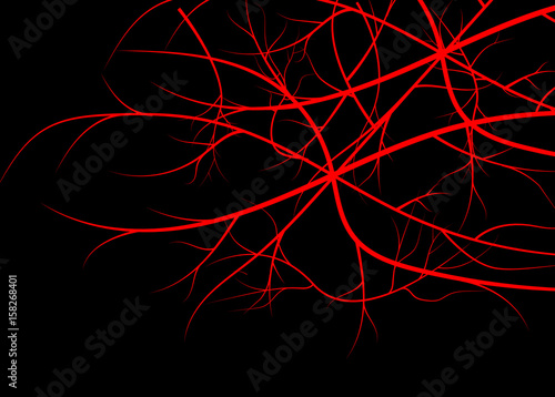 Blood veins, red vessels on black background.
