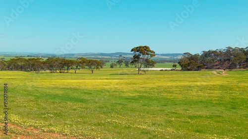 Australian Farm Landscape Scene