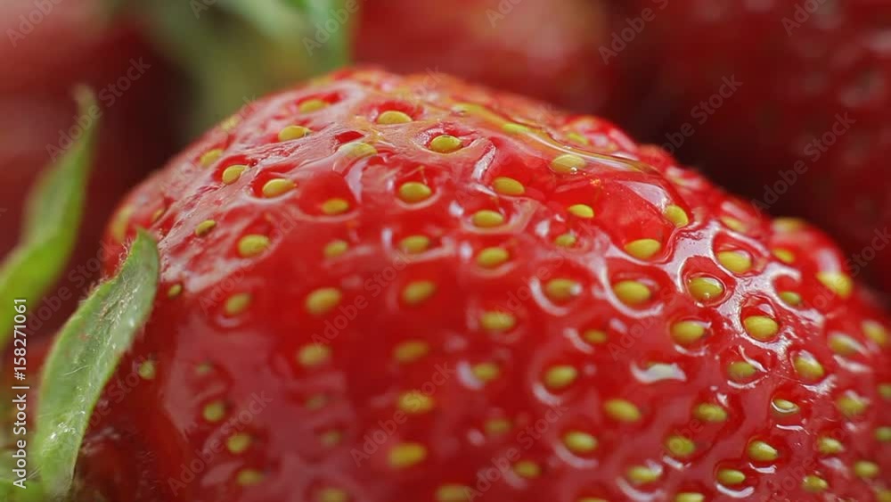 Big red fresh sweet strawberry macro video. Nice healthy vitamin dessert. Big red fresh sweet strawberry macro video. Nice healthy vitamin dessert.