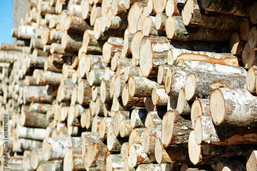 Abstract background of firewood stack