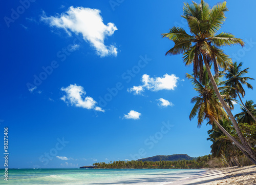 Fototapeta Naklejka Na Ścianę i Meble -  Paradise on Earth. Tropical beach, green palm trees, azure sea, sand. Vacation concept. Dominican Republic, Las Galeras.