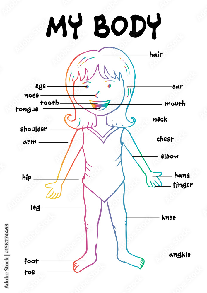 Illustration of boy body parts Stock Vector Image & Art - Alamy-saigonsouth.com.vn