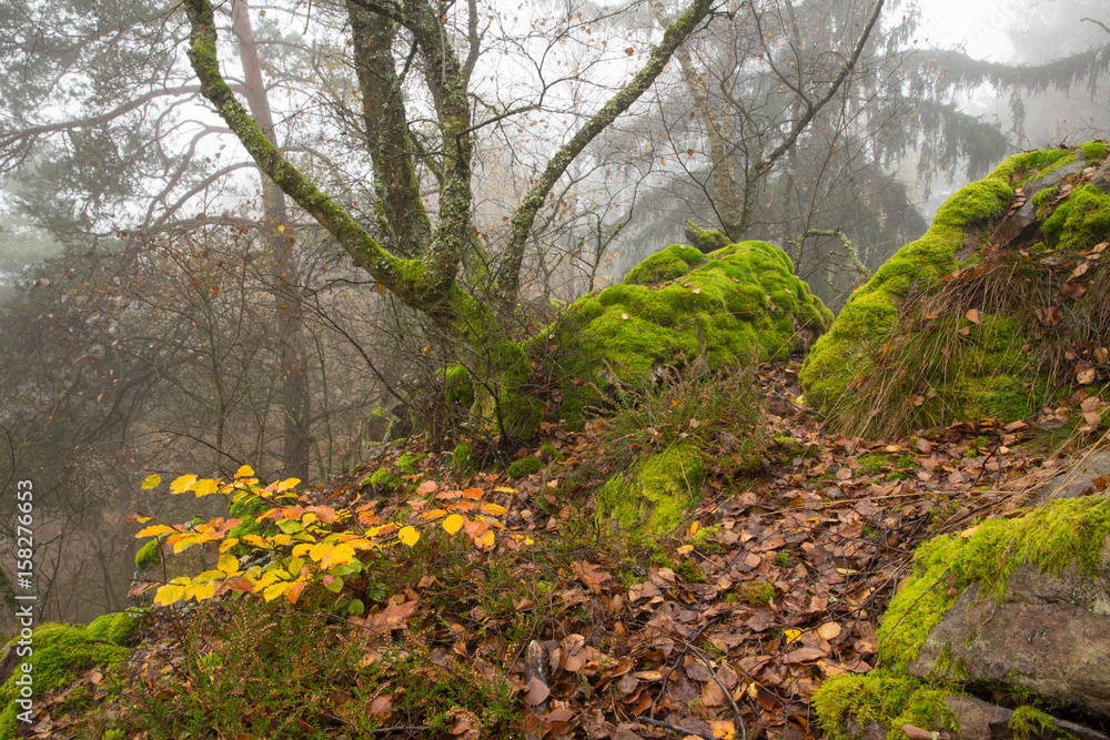 Herbst Herbst