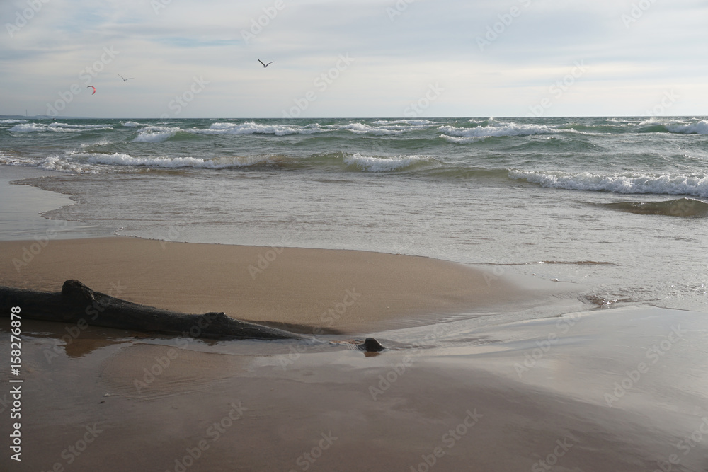 Shoreline Shoreline