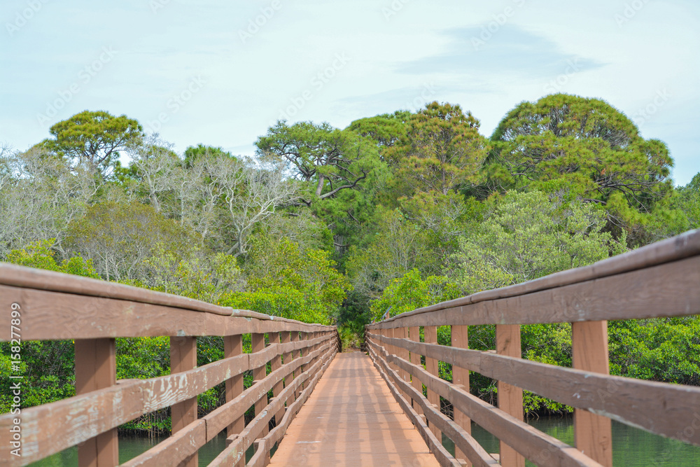 A walkway over the inland waterway at McGough Nature Park in Indian Rocks Beach, Florida. A walkway over the inland waterway at McGough Nature Park in Indian Rocks Beach, Florida.