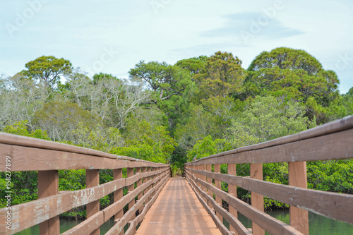 A walkway over the inland waterway at McGough Nature Park in Indian Rocks Beach  Florida.