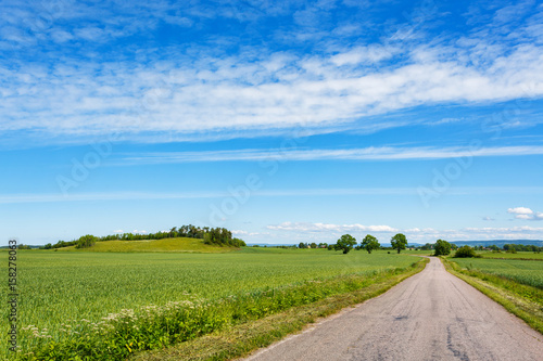 Country road passing through the fields