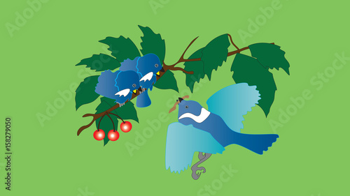 A bird and two of its chicks.