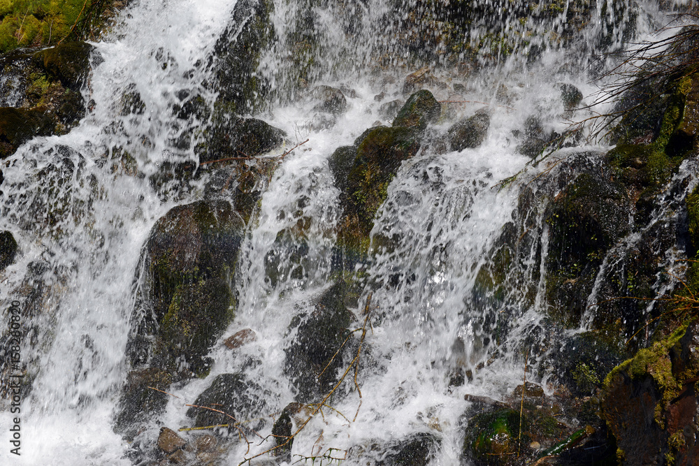 Cascading waterfall in coniferous forest, near Portland Oregon, environmental areas which are threatened by increasing development and pollution Cascading waterfall in coniferous forest, near Portland Oregon, environmental areas which are threatened by increasing development and pollution