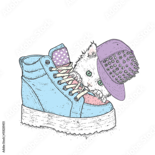 Lovely kitten in a stylish cap with spikes. A cat and a sneaker on a thick sole. Vector illustration for a postcard or a poster. Clothes and accessories. Fashion & Style.
