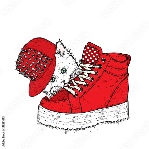 Lovely kitten in a stylish cap with spikes. A cat and a sneaker on a thick sole. Vector illustration for a postcard or a poster. Clothes and accessories. Fashion & Style.
