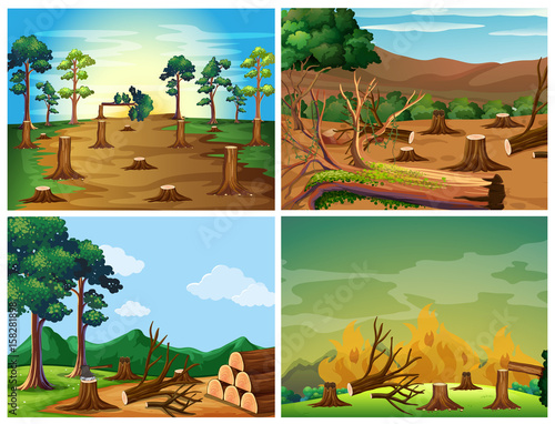 Four scenes of deforestation and wild fire