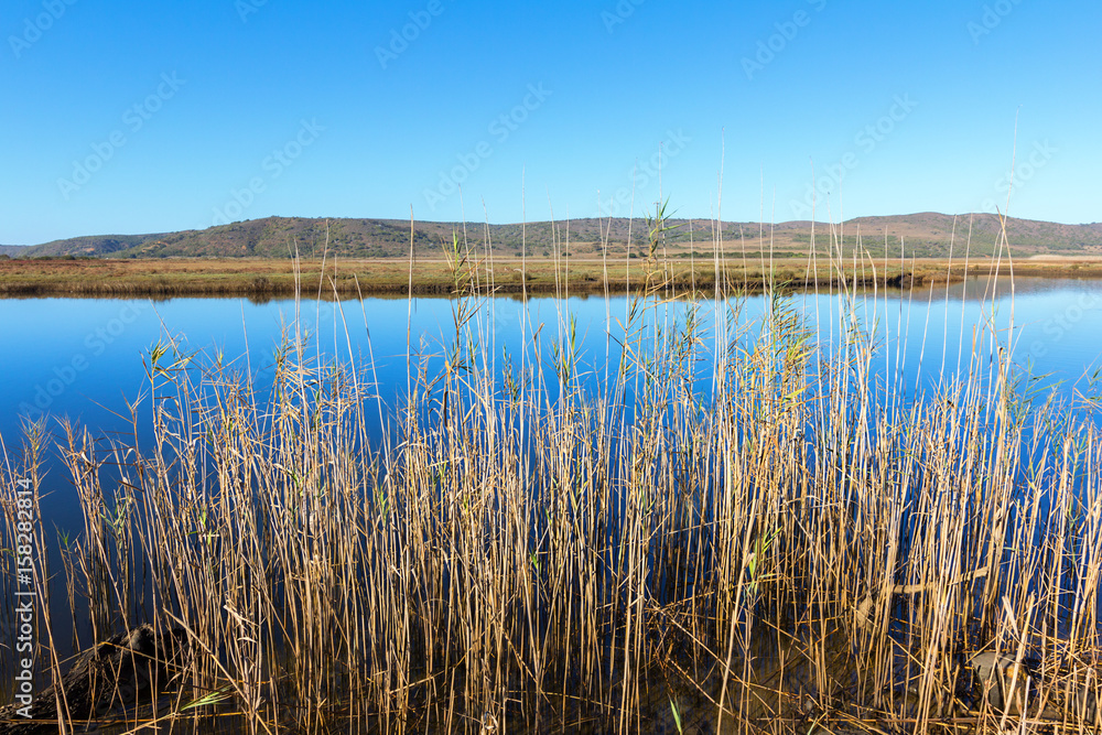 still waters still waters