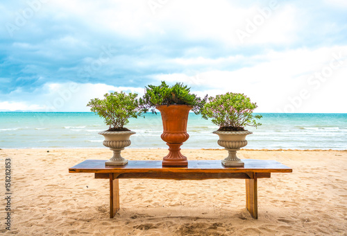 flower pot on the wood table on the beach