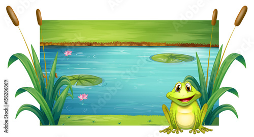 Green frog sitting by the river