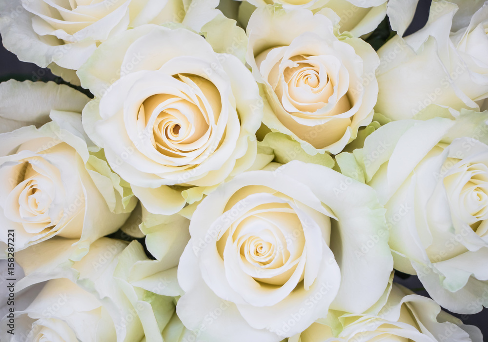 Perfect bouquet of creme luxurious roses for wedding, birthday or Valentine's day. Top view Perfect bouquet of creme luxurious roses for wedding, birthday or Valentine's day. Top view