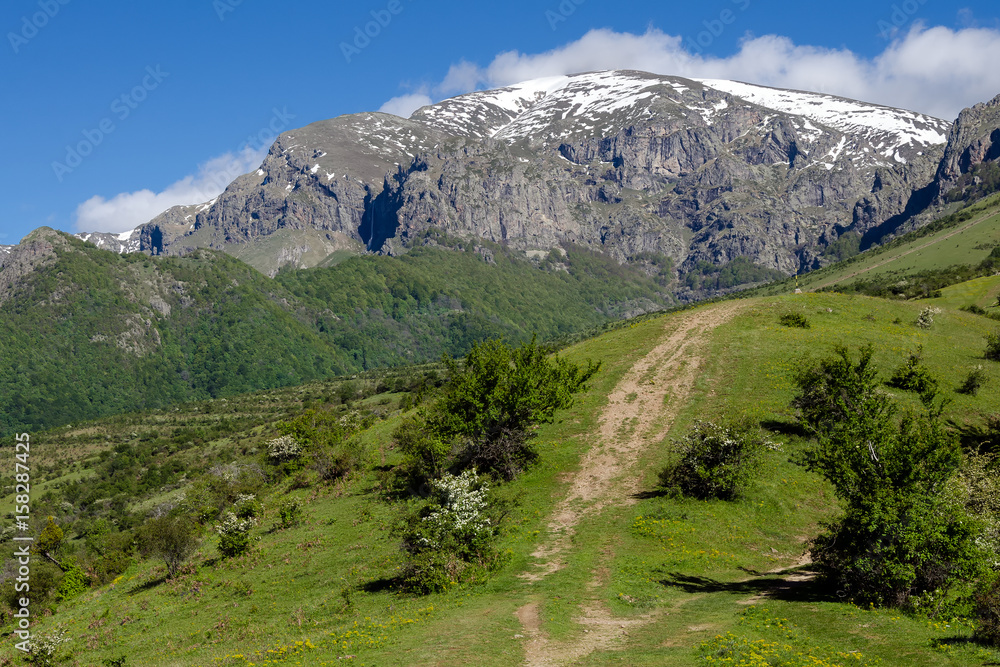 Green forest and tourist path to Botev peak, Stara Planina mountain, Bulgaria Green forest and tourist path to Botev peak, Stara Planina mountain, Bulgaria