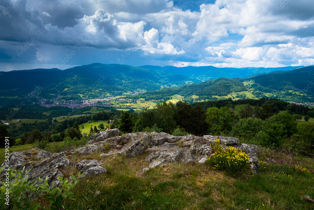 Fototapeta premium Munstertal