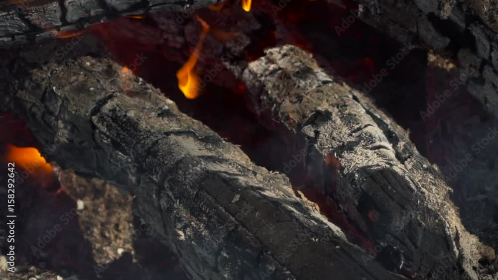 the firewoods burning close up. the firewoods burning close up.