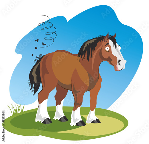 Funny cartoon horse