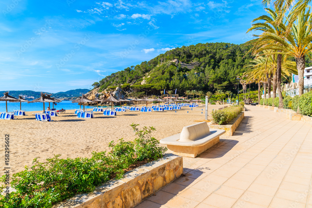 Coastal promenade along sandy beach with umbrellas and sunbeds in Cala San Vicente bay on sunny summer day, Ibiza island, Spain