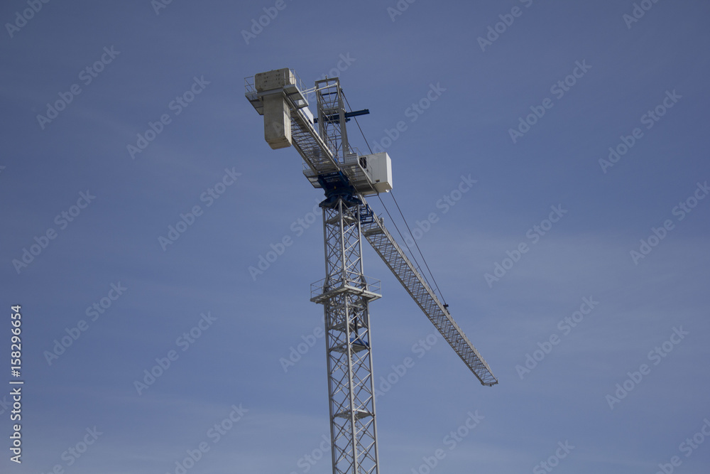 white crane white crane