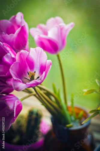 Pink tulips bouquet