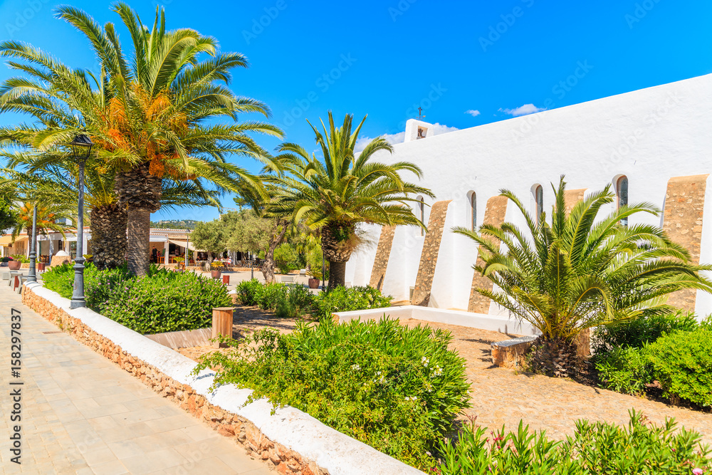 Fototapeta premium Typical white church and palm trees in Es Cubells village, Ibiza island, Spain