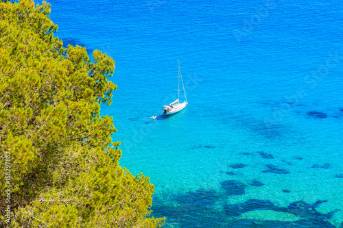 Sailing boat on blue sea and green pine tree in foreground near Es Cubells village in southern part of Ibiza island, Spain