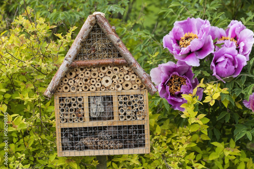 Insect house in a summer garden