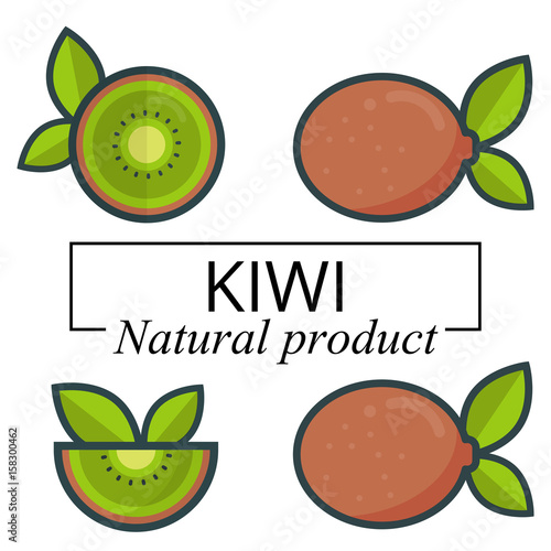 cartoon kiwi set with text