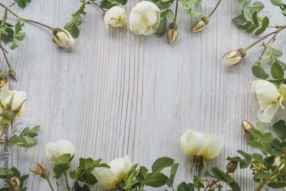 celebration concept/white wild rose flowers frame on light wooden background celebration concept/white wild rose flowers frame on light wooden background