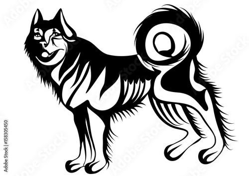 husky