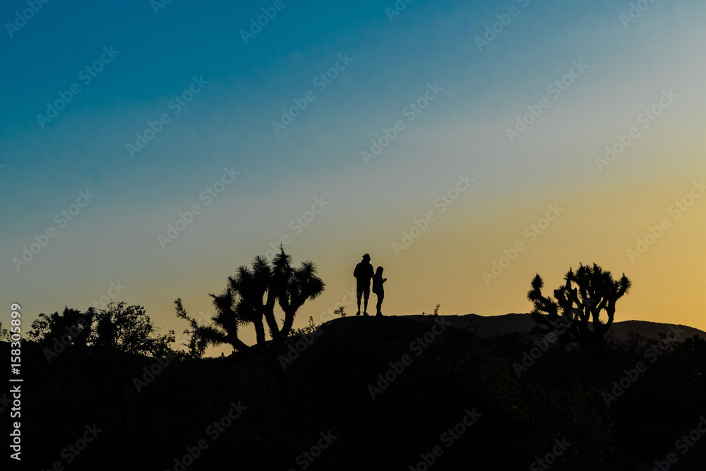 Silhouette of a couple enjoying a desert sunset.