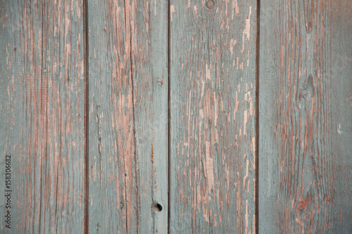 Wallpaper Mural Grey wooden planks with old blue paint Torontodigital.ca