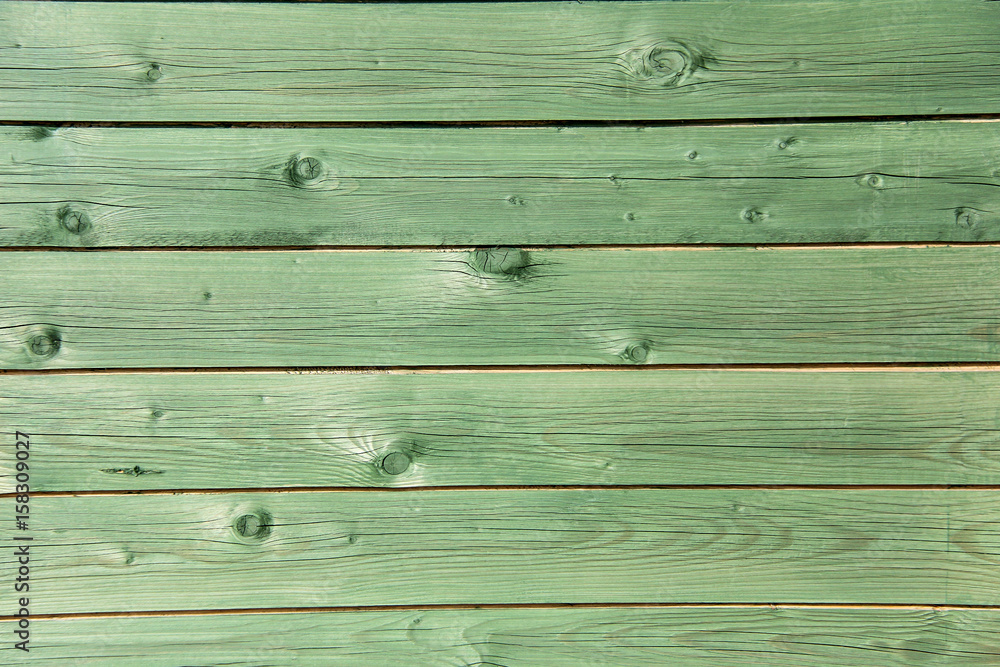 Naklejka premium old aged tree wood texture 