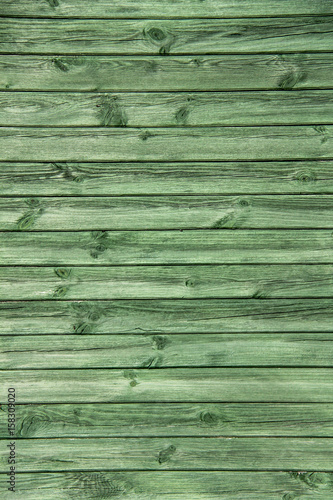 old aged tree wood texture 