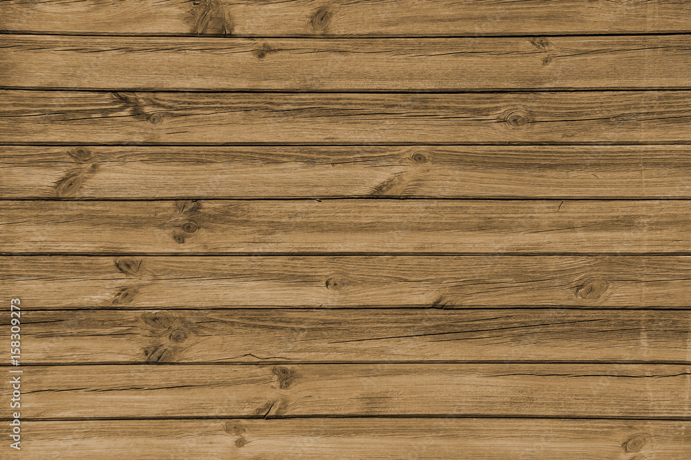 Obraz premium old aged tree wood texture 