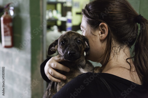 Canvas Print Sad abandoned dogs