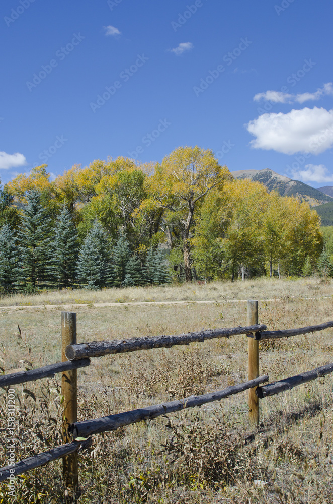 Autumn Colors Behind a Split Rail Fence