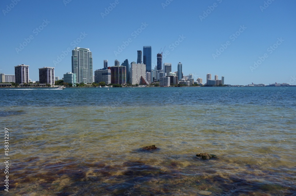 Naklejka premium The downtown Miami skyline seen from Virginia Key