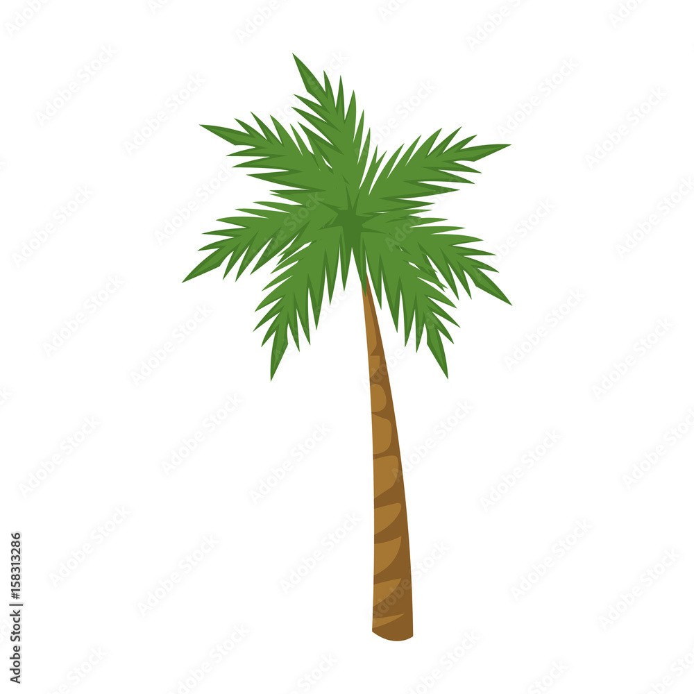 Obraz premium palm tree tropical plant natural image vector illustration