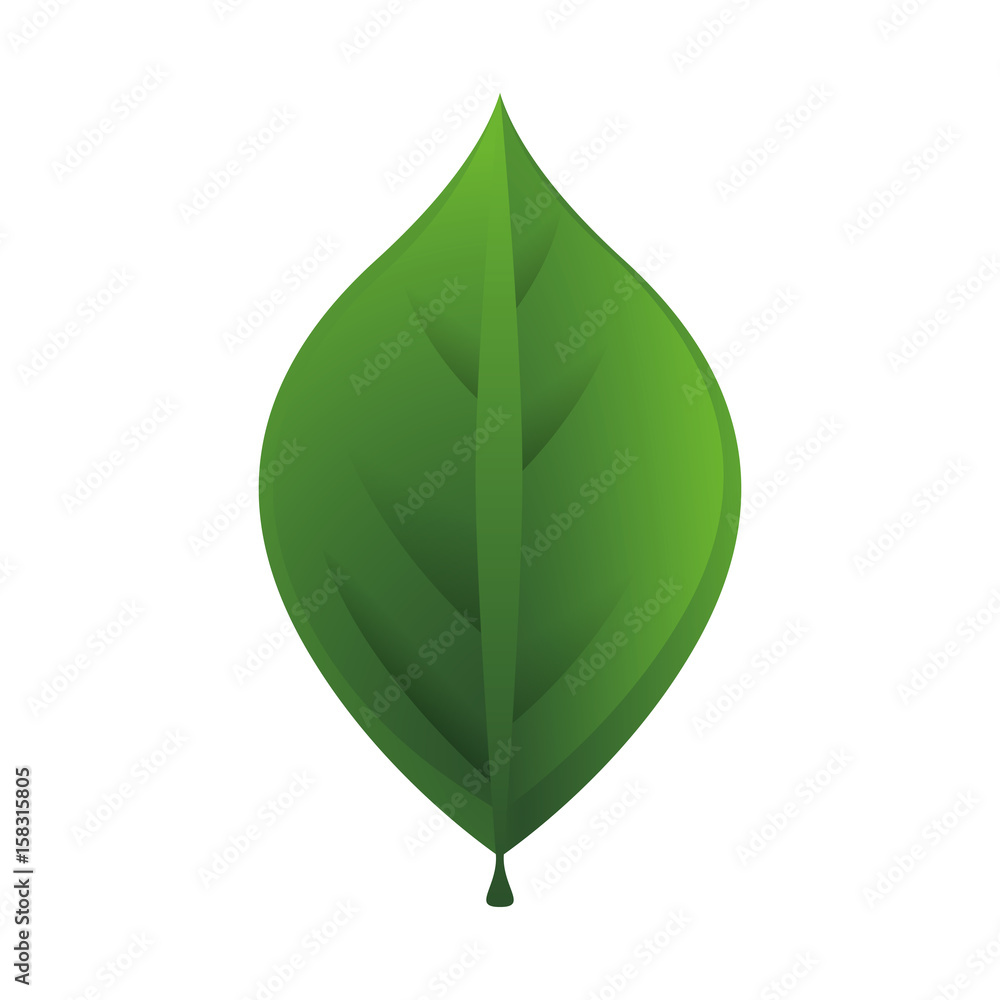 Leaf ecology symbol icon vector illustration graphic design Leaf ecology symbol icon vector illustration graphic design