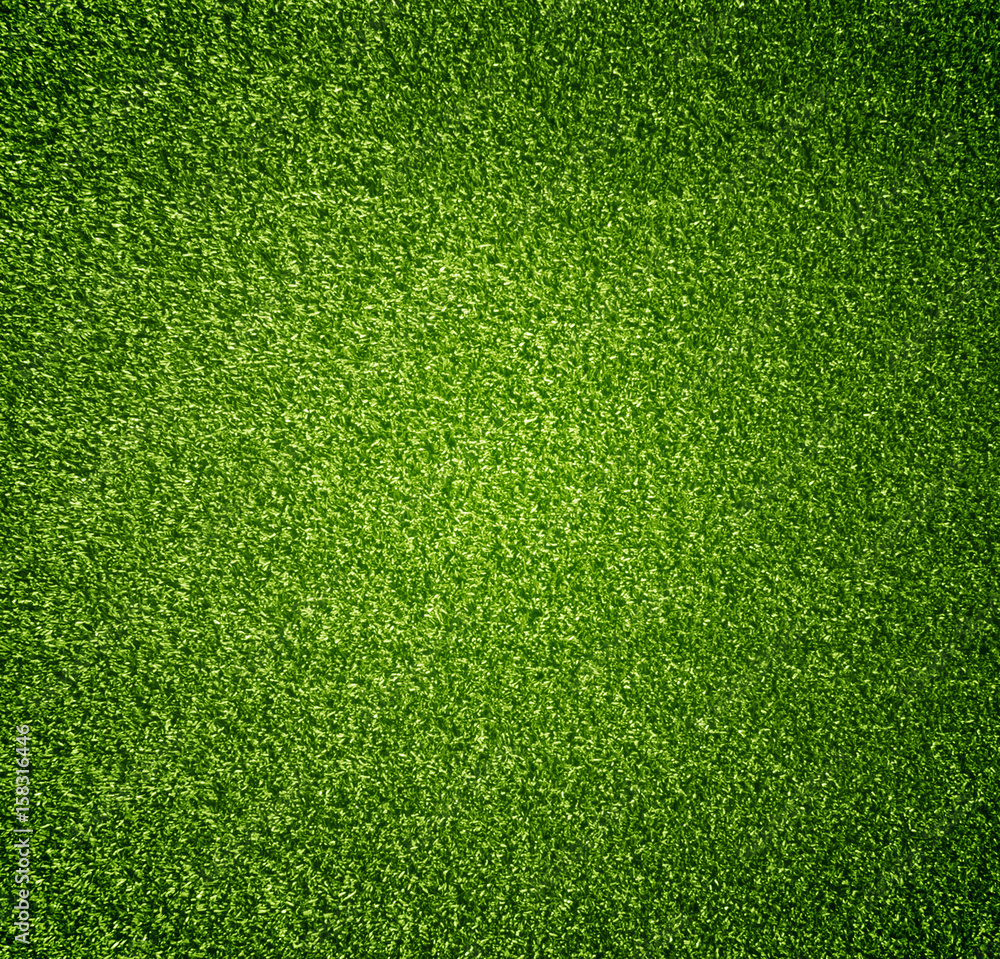 Obraz premium Grass