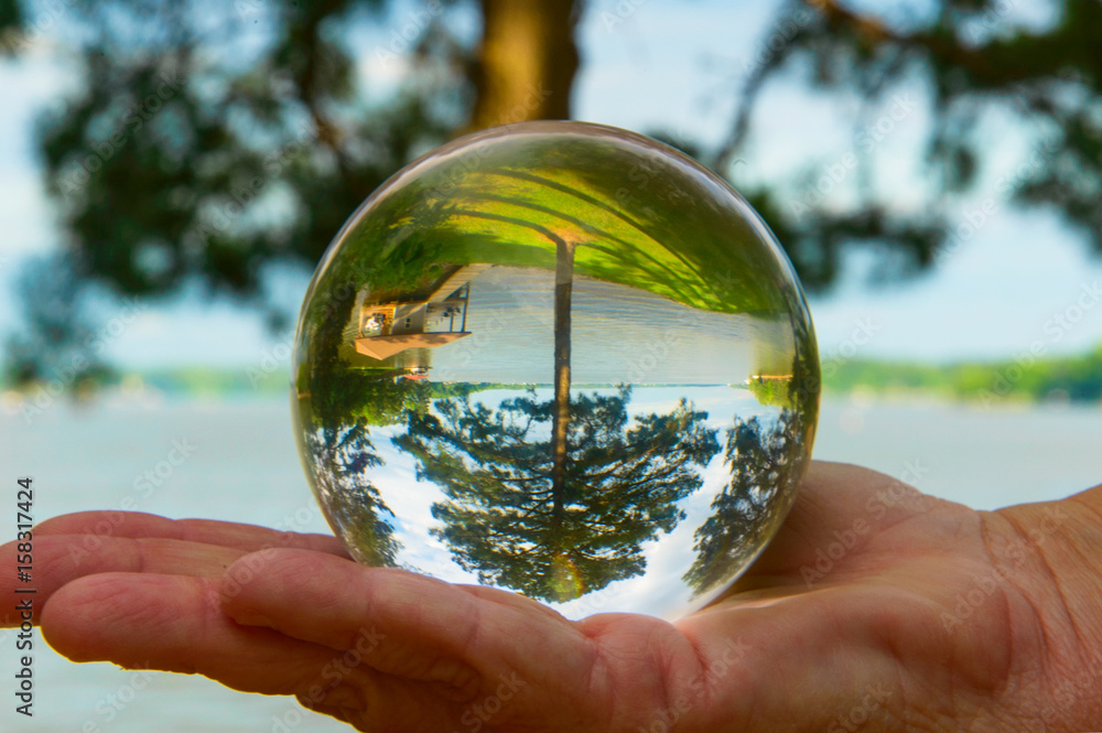 Green Tree in Crystal Ball