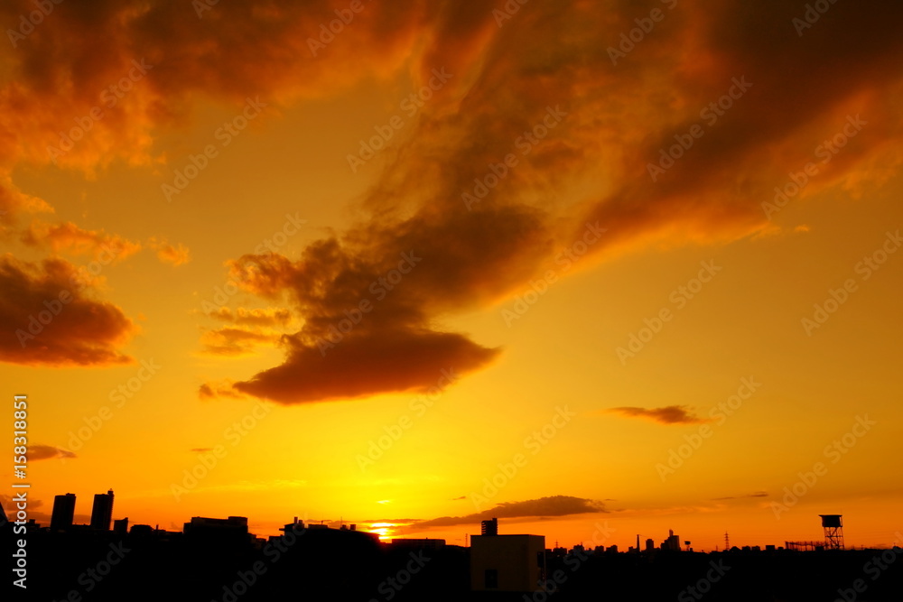 輝く初夏空