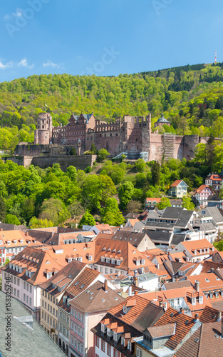 The aerial view of Heidelberg featuring Heidelberg Castle